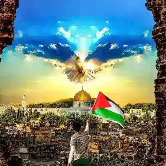 🇵🇸نسمـــــــاتٌ غزاوية🇵🇸