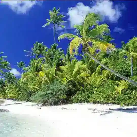 🌴🌷واحة المبدعين🌷🌴