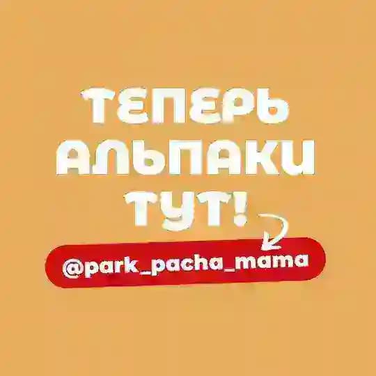 Парк альпак ПАЧА МАМА Ульяновск
