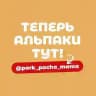 Парк альпак ПАЧА МАМА Ульяновск