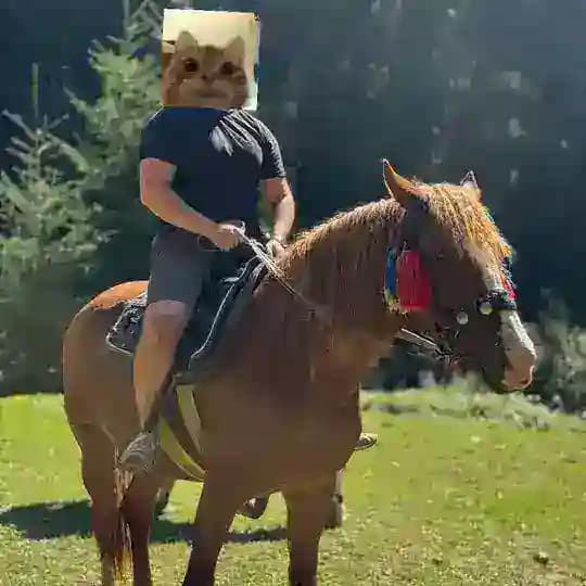 Спред головного мозга