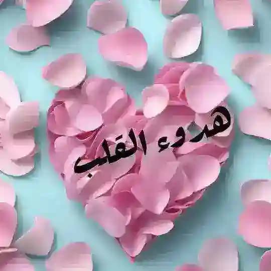 ꨄ︎هــــدوء القلــ❥ـــبꨄ︎🇵🇸🔻
