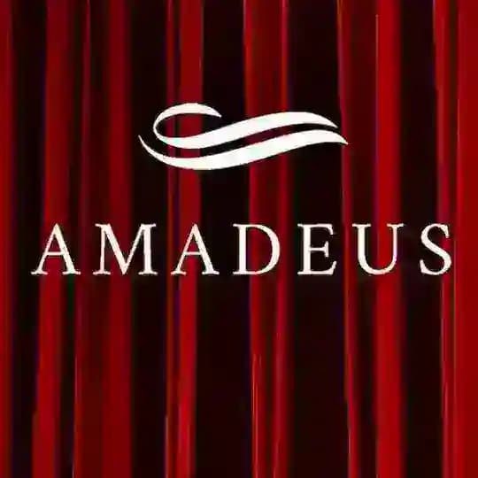AMADEUS 🌹 АМАДЕУС КАЗАНЬ🌹 КОНЦЕРТЫ