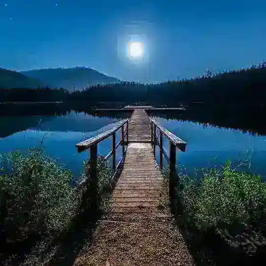 Amazing Natures π