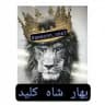 AMAZON SOAL بهار شاه کلید