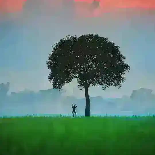 🍃 প্রকৃতির ভালোবাসা 🌱