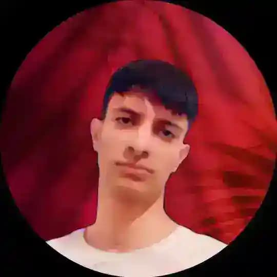 amir_tik
