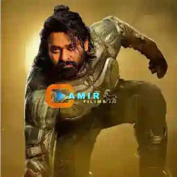 Amiř~Filims²𓃵 Profile