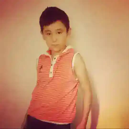 Телеграмкинс Profile