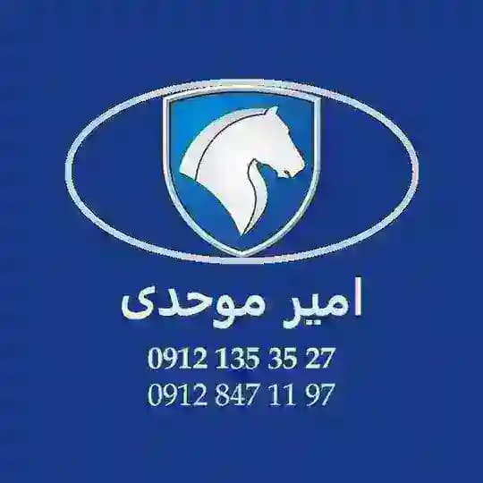 امیر موحدی(تهران)