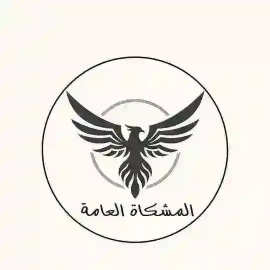 المشكاة - عمرو عبد العزيز