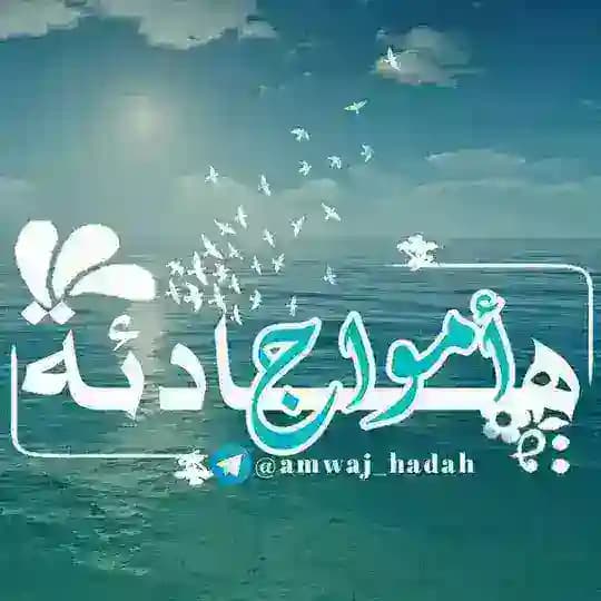 أَمــوَاج ❥ هَـادِئـہ 