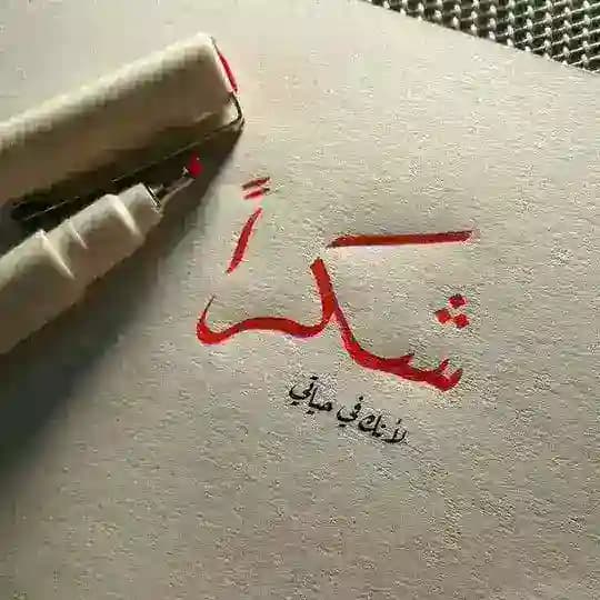 عبارات & اقتباسات