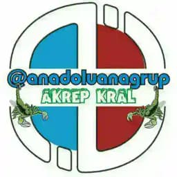 Anadolu Ana Grup Profile