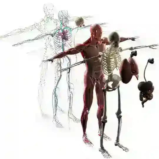 Anatomie Physiologie et Pathologies Profile