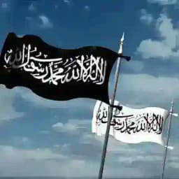 اناشيد جهاديه🕊💚 Profile