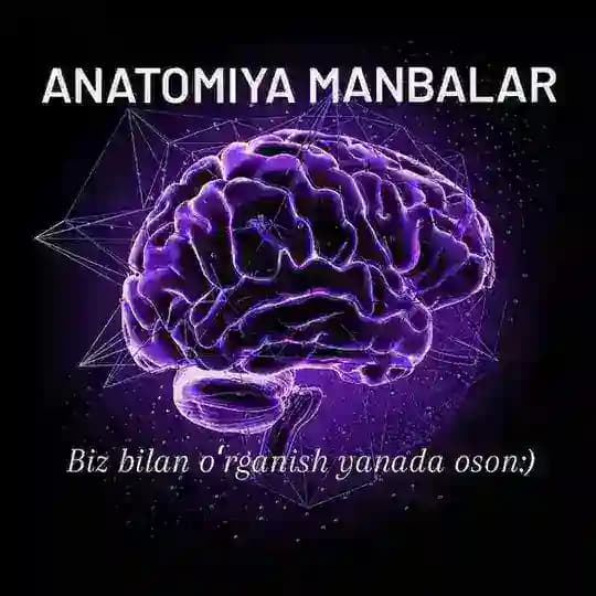 ANATOMY STUDY Profile