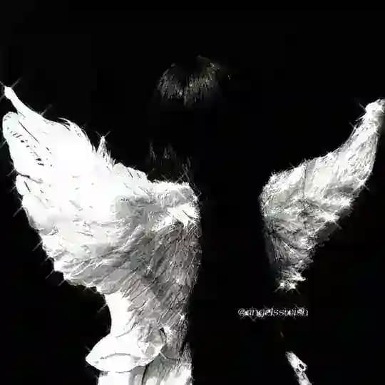 ⟡ angel's wish | переходник