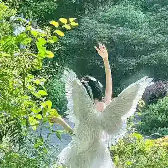 𝘼𝙣𝙜𝙚𝙡 𝙎𝙩𝙖𝙧