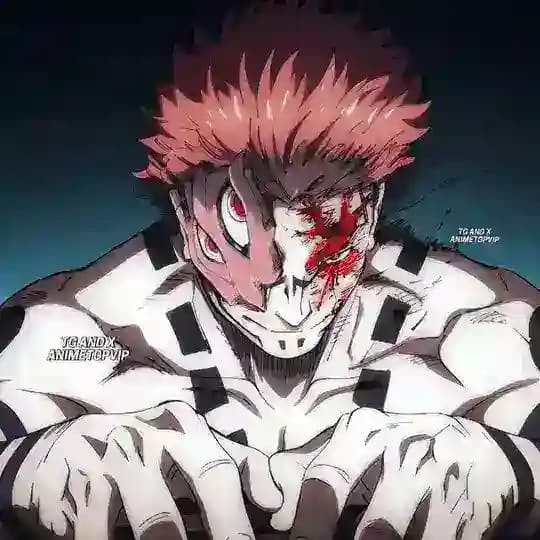 ANIMETOPVIP