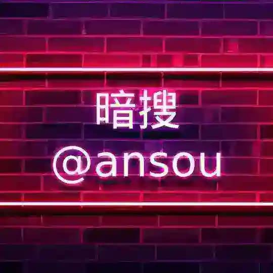 暗搜总站