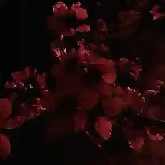 𝐴𝑛𝑡𝑎𝑟𝑒𝑠'𝑠 𝑓𝑢𝑛𝑐𝑡𝑖𝑜𝑛!!