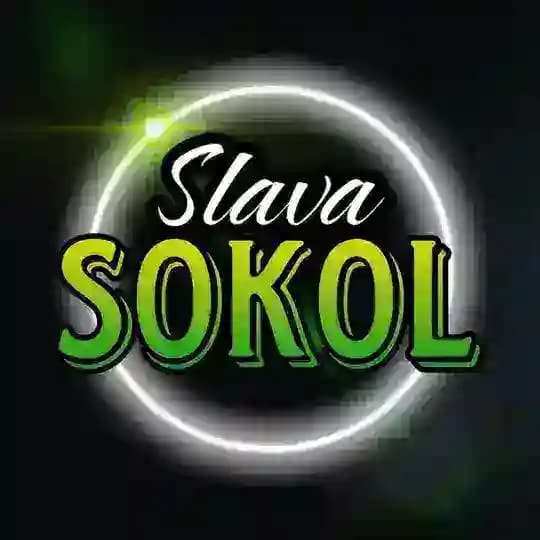 SLAVA SOKOL | Авторские прогнозы