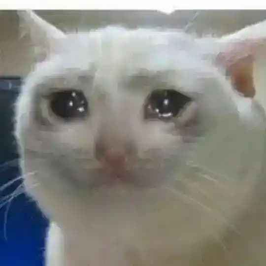 اني شعلية