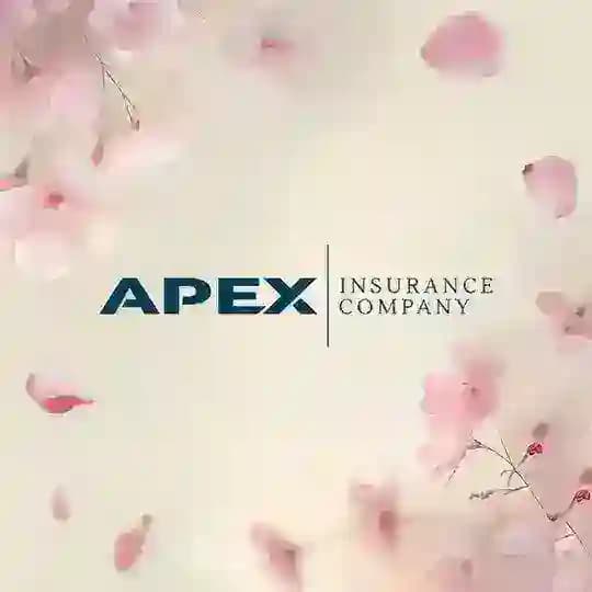 APEX INSURANCE