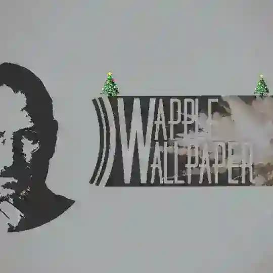 🎅🏻 αρρℓєωαℓℓραρєя 🧑🏻🎄