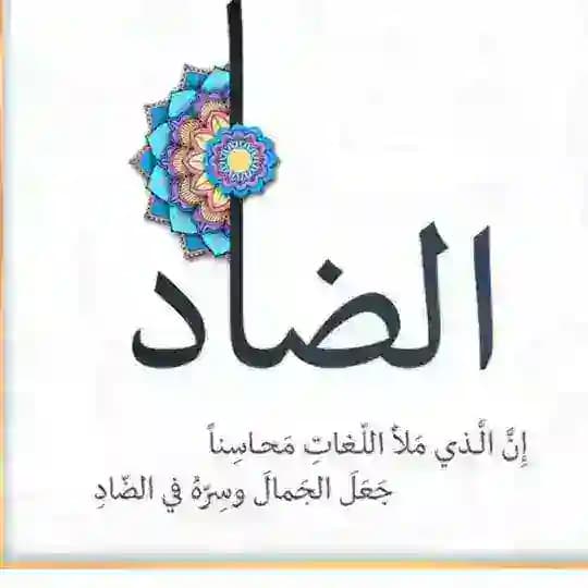 رحلتي في قسم اللغة العربية
