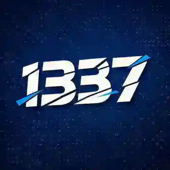 В арбитраже меня называли 1337