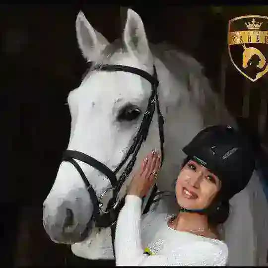 Верховая езда