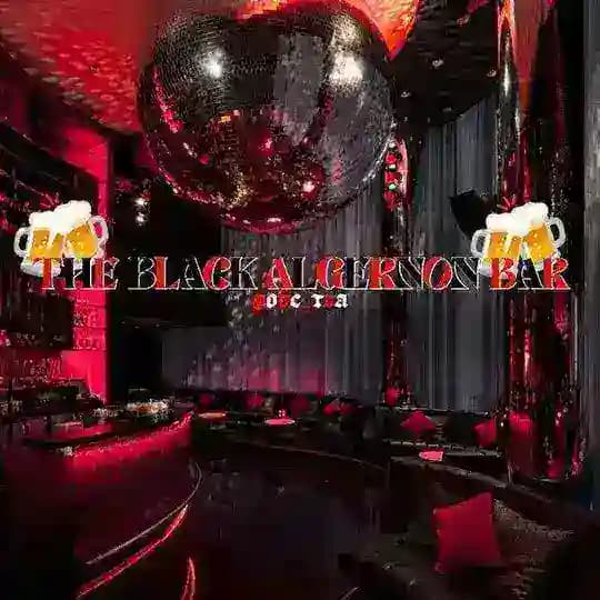 Arsip The Black Algernon Bar