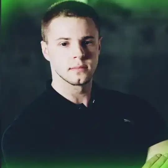 ARTEM WOLF