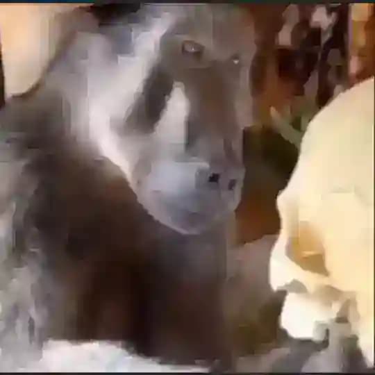 Журнал