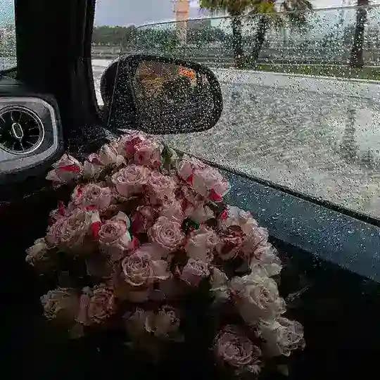 شـُعور .