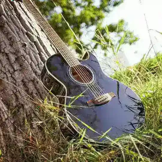 لحن الحياه Profile