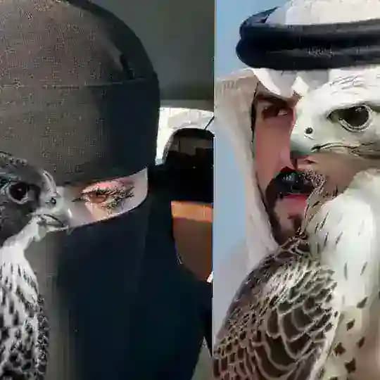 حالات وقصايد 🫀͚͢ Profile