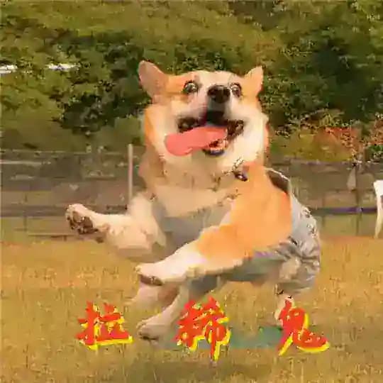 安盛收粉频道