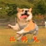 安盛收粉频道