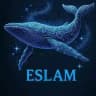 ESLAM