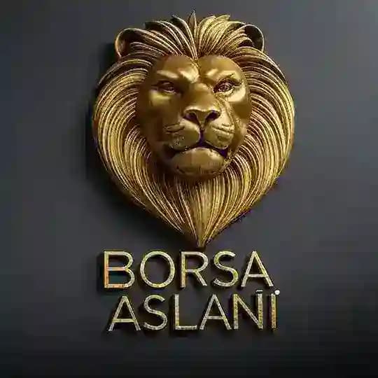 BORSA ASLANI