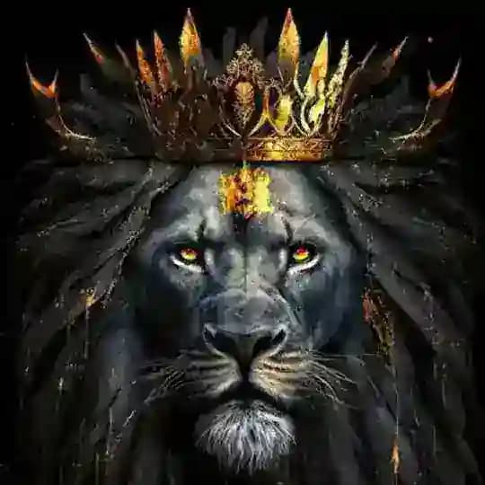 ASLAN AMCA TRADER