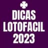 José Silva - Lotofácil
