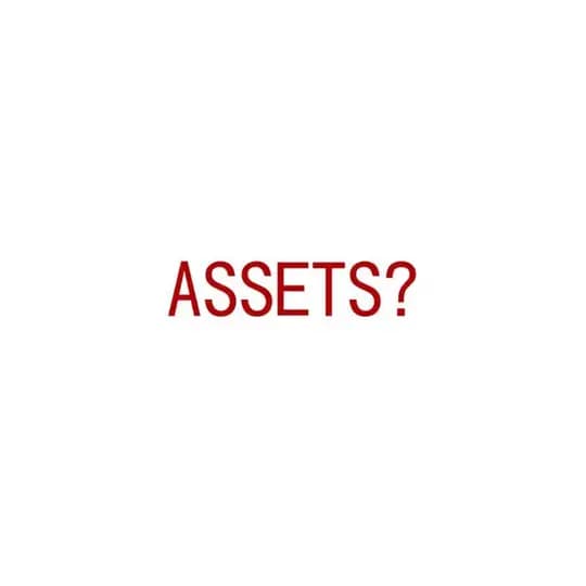 ASSETS