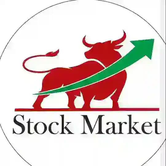 indian stocsk expert