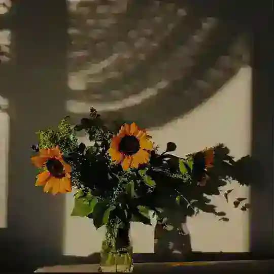 غيمـه .