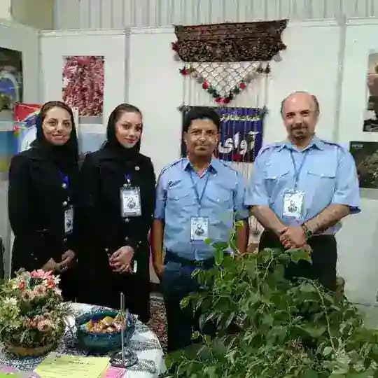آژانس مسافرتی آوای آریا