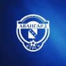 Спортивная школа «Авангард» Курск